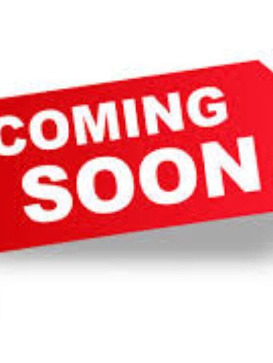 Jewelry - Clover Bracelet - Gold Plated Stainless Steel - NWOT